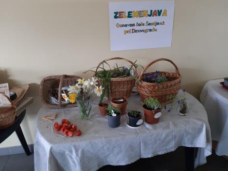 Zelemenjava OŠ Šentjanž pri Dravogradu